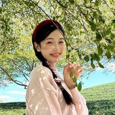 好莱坞结局